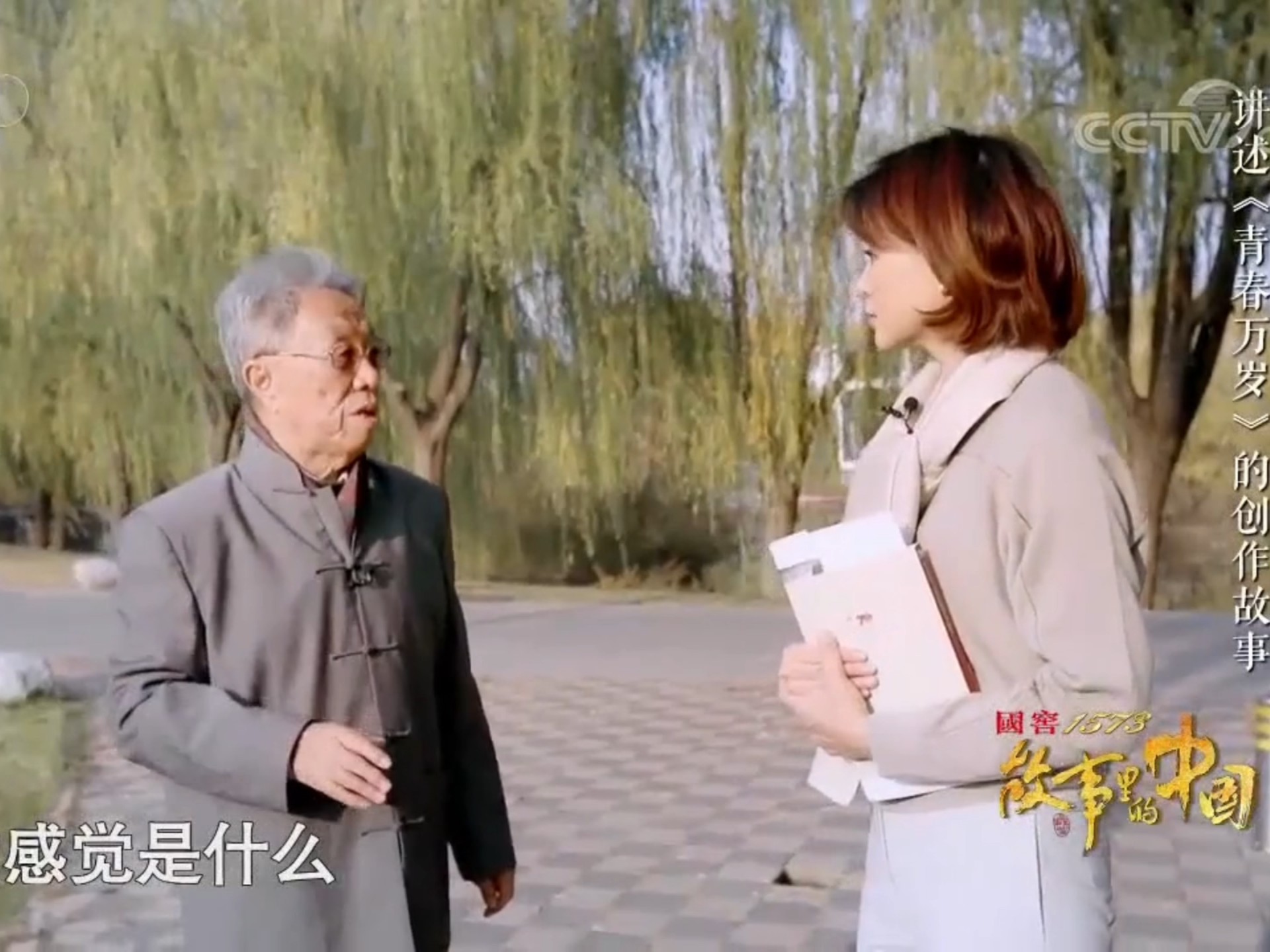 故事里的中国：董卿访人民艺术家王蒙，揭秘《青春万岁》创作故事