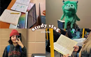 Download Video: Study vlog* 满课的一天*终于下雪啦!!