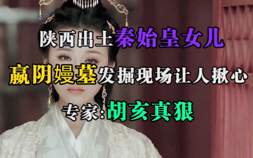 陕西出土秦始皇女儿嬴阴嫚墓,发掘现场让人揪心,专家:胡亥真狠哔哩哔哩bilibili