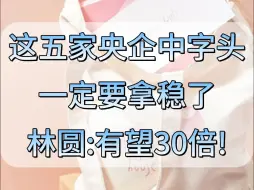 下载视频: 这五家央企中字头一定要拿稳了，林圆有望30倍!