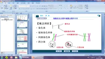 20200303-有丝分裂与减数分裂过程中物质与结构的数量变化