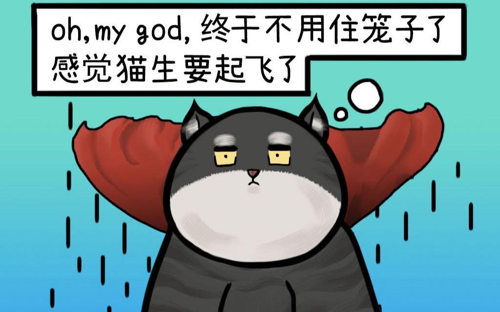 活动  宝子葡萄家的顶戴喵大总管来了