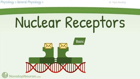 生物动画】细胞生物学-核受体与信号通路_哔哩哔哩_bilibili