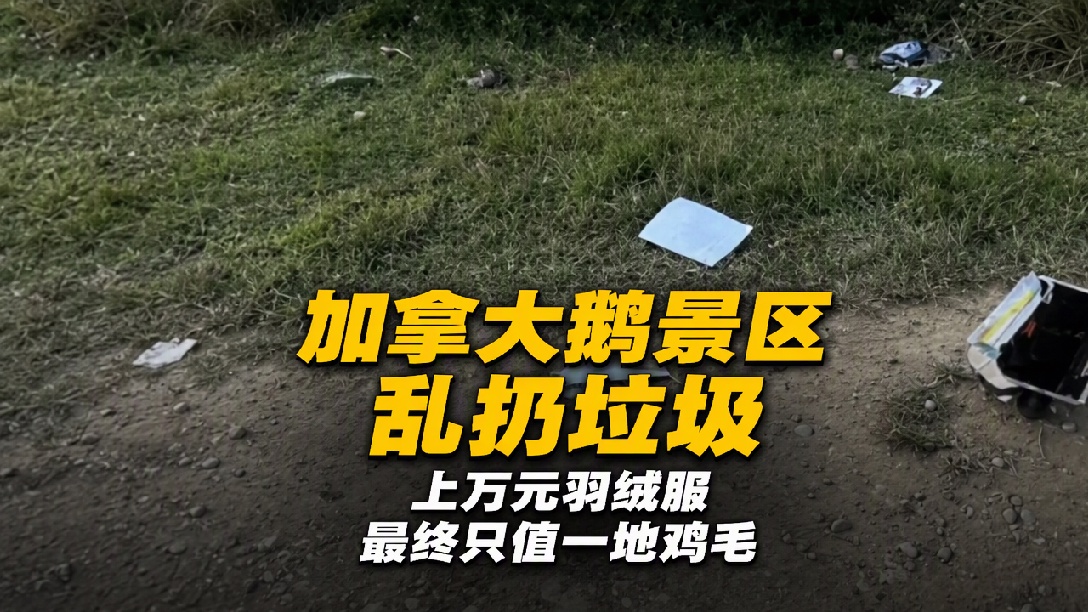 男子宁波福泉山骑行发现加拿大鹅广告拍摄计划单及一地垃圾，品牌道歉并返回清理，大象评：别让一件上万块的羽绒服，最终只值一地鸡毛（评论员 