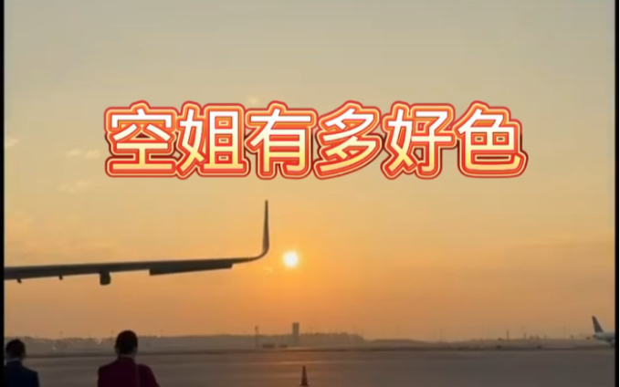 空姐好色吗?哔哩哔哩bilibili