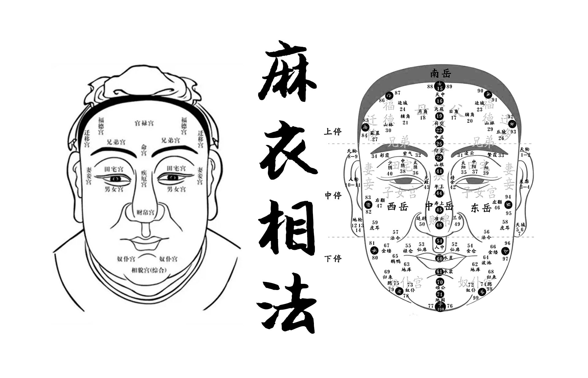 麻衣神相 解锁面相密码 看尽世间风云 解读人生百态哔哩哔哩bilibili