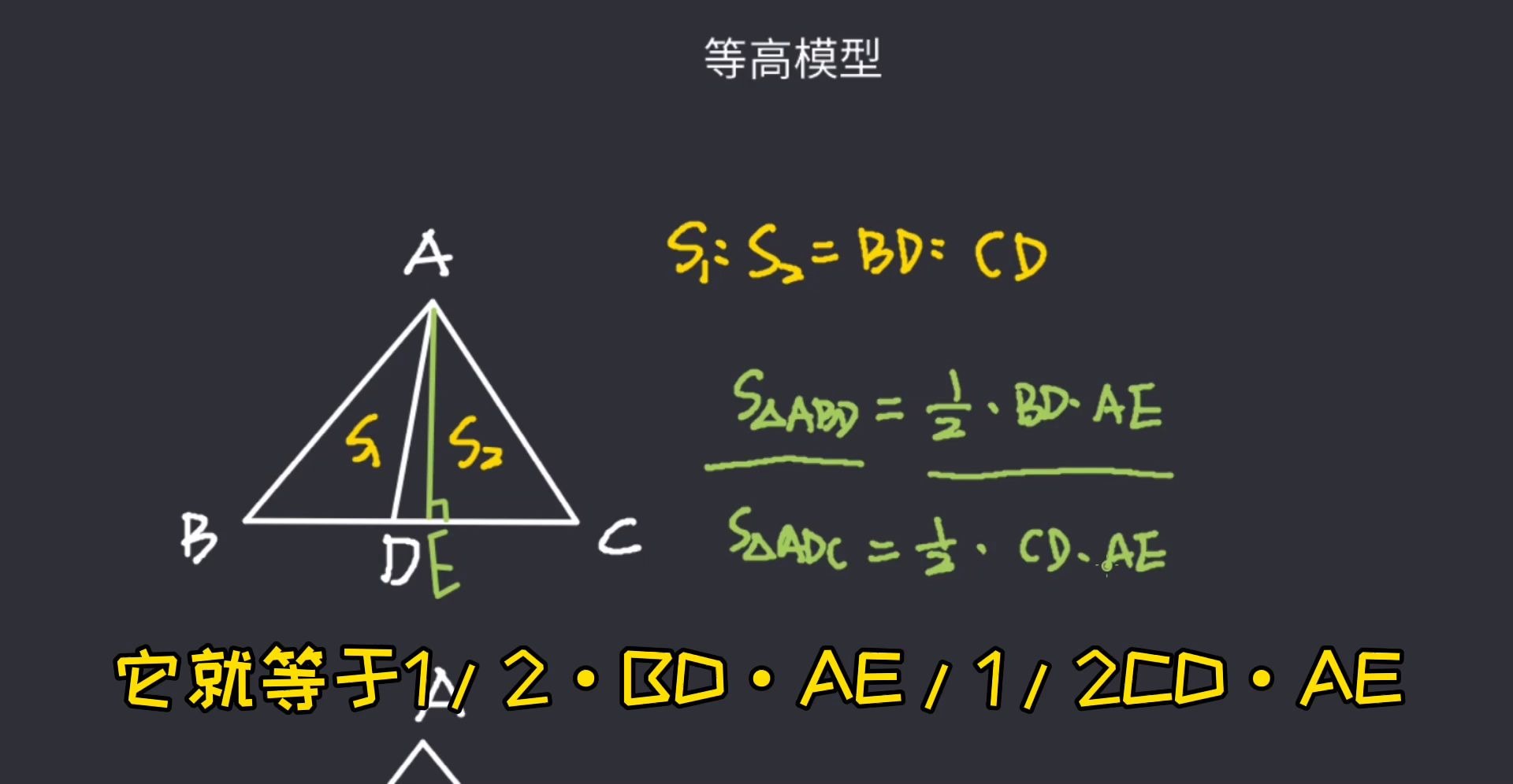 【小学奥数几何专题】等高模型,小奥几何专题必考模型,五大模型之一,最基础也是最重要的!哔哩哔哩bilibili