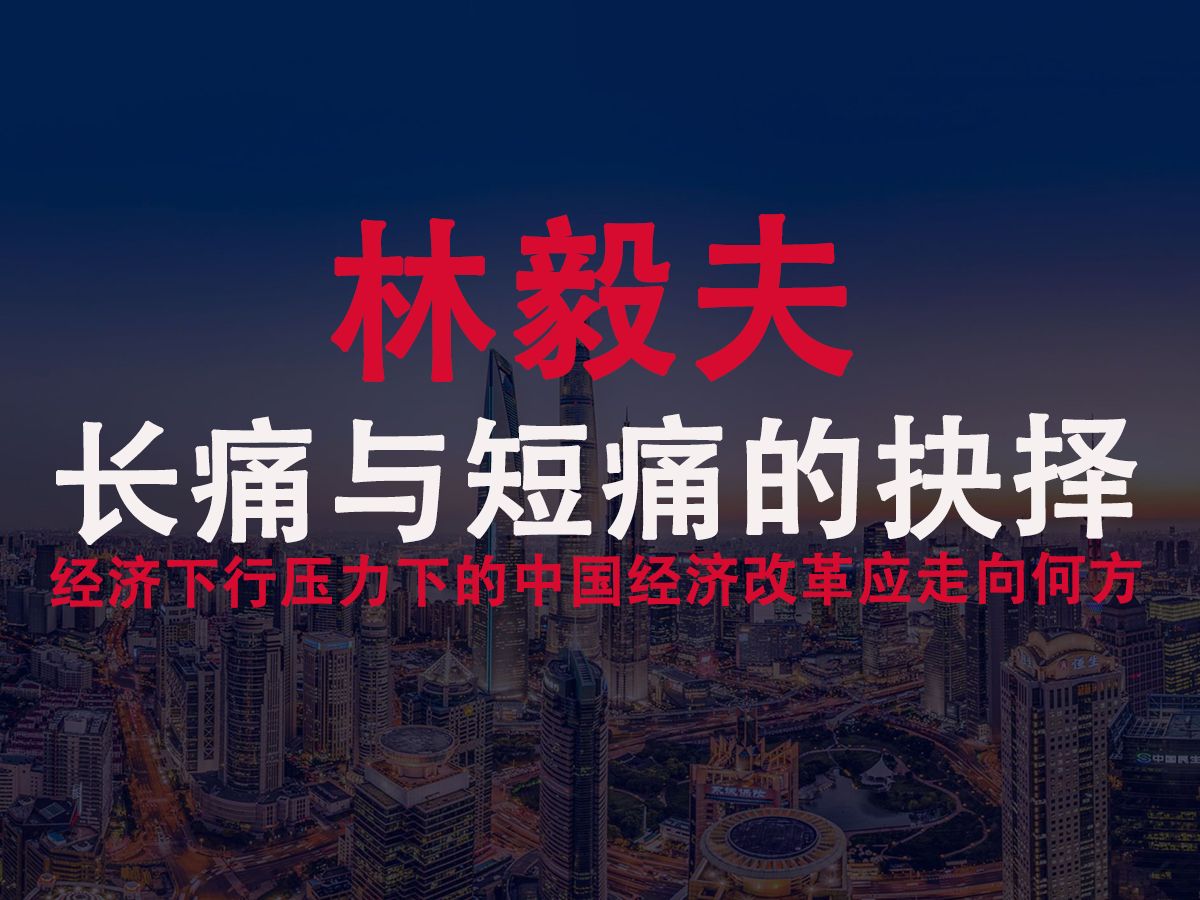 林毅夫经济下行压力下中国经济该走向何方,面对长痛与短痛的抉择,我们有做出了哪些改变哔哩哔哩bilibili