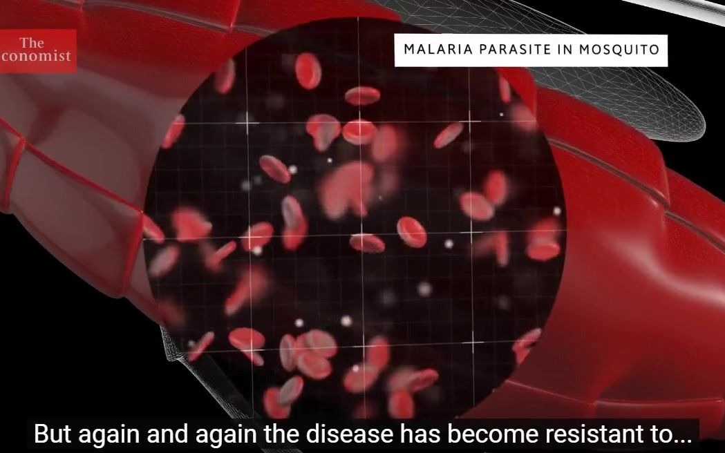 malaria疟疾 经济学人 抗药性越来越强的疟疾未来该怎么办?哔哩哔哩bilibili