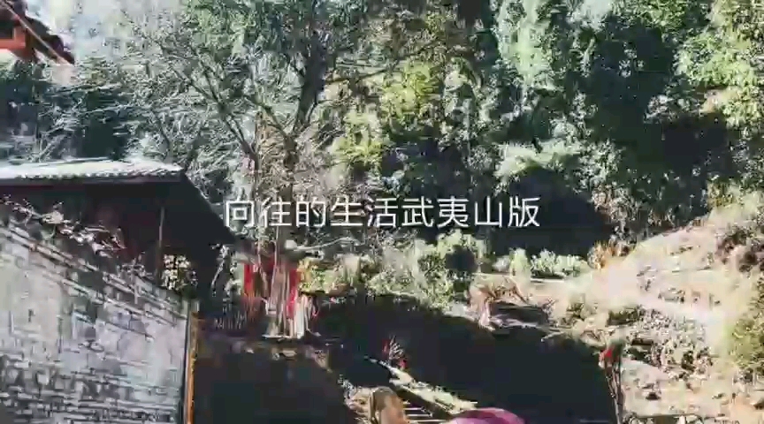 武夷山星村哔哩哔哩bilibili