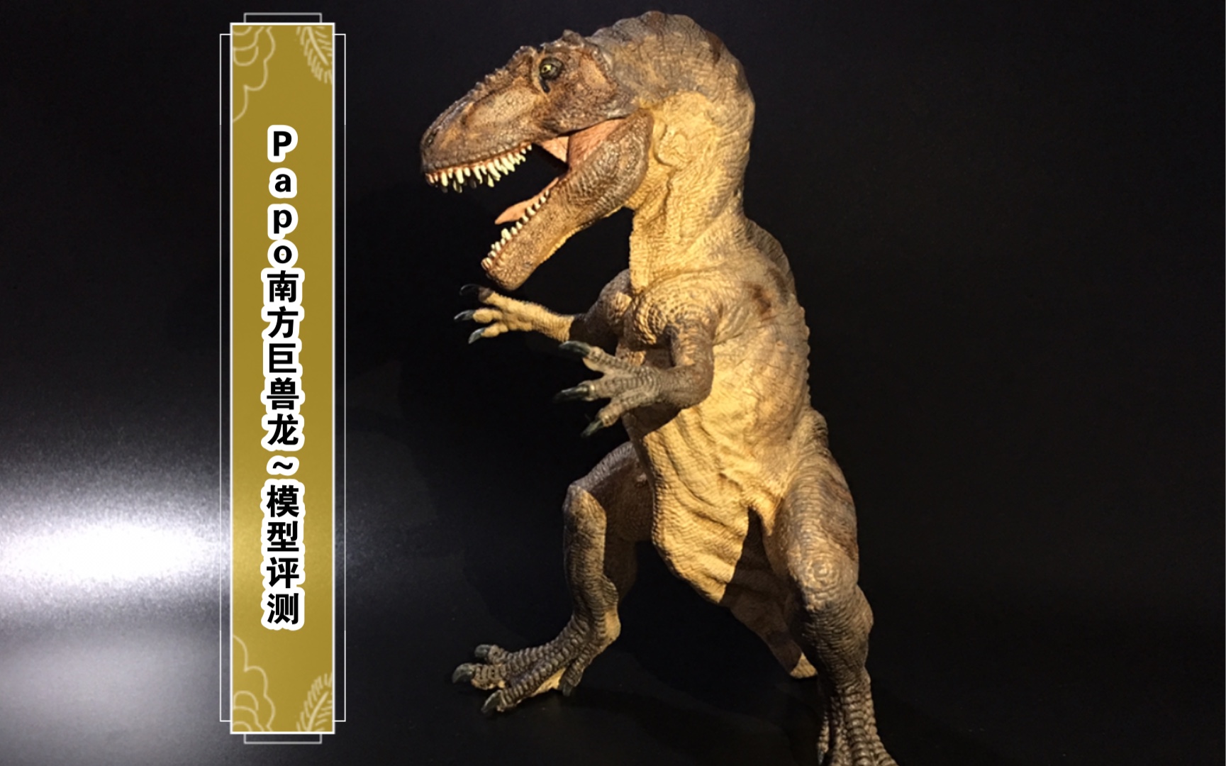 恐龙模型评测papo南方巨兽龙giganotosaurus