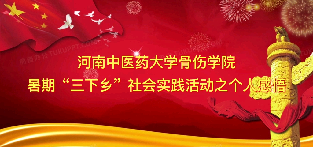河南中医药大学骨伤学院暑期“三下乡”社会实践活动之个人感悟!哔哩哔哩bilibili