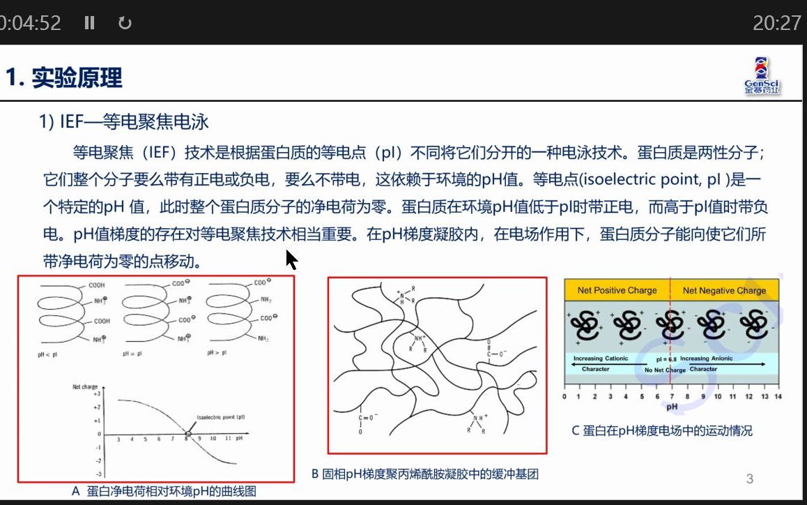 2D电泳技术及其应用哔哩哔哩bilibili