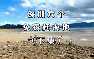 Download Video: 深圳免费6个赶海地方（下集）