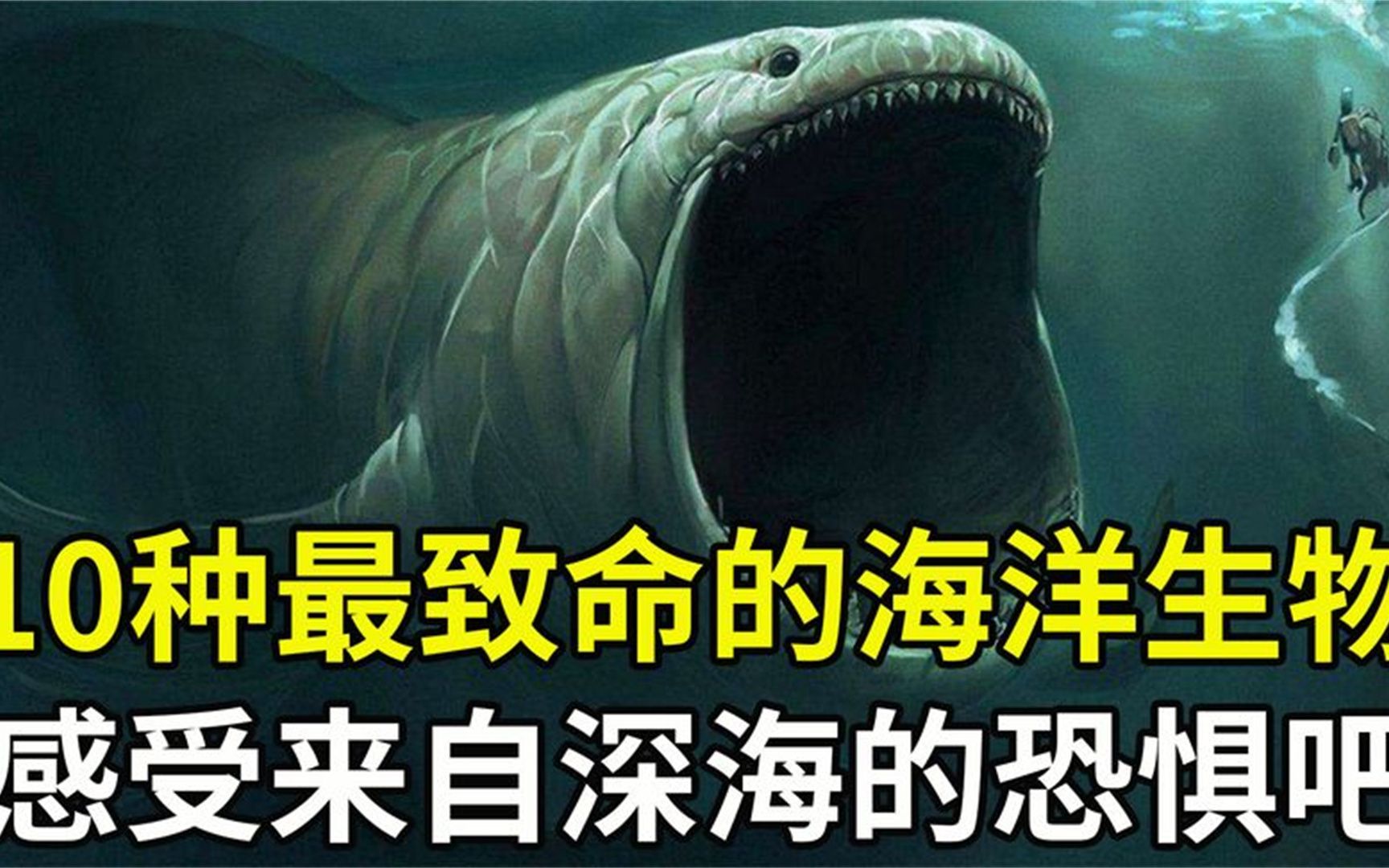 海洋里10种对人最致命的生物,蓝环章鱼毒性无解,谁是海底毒王?哔哩哔哩bilibili