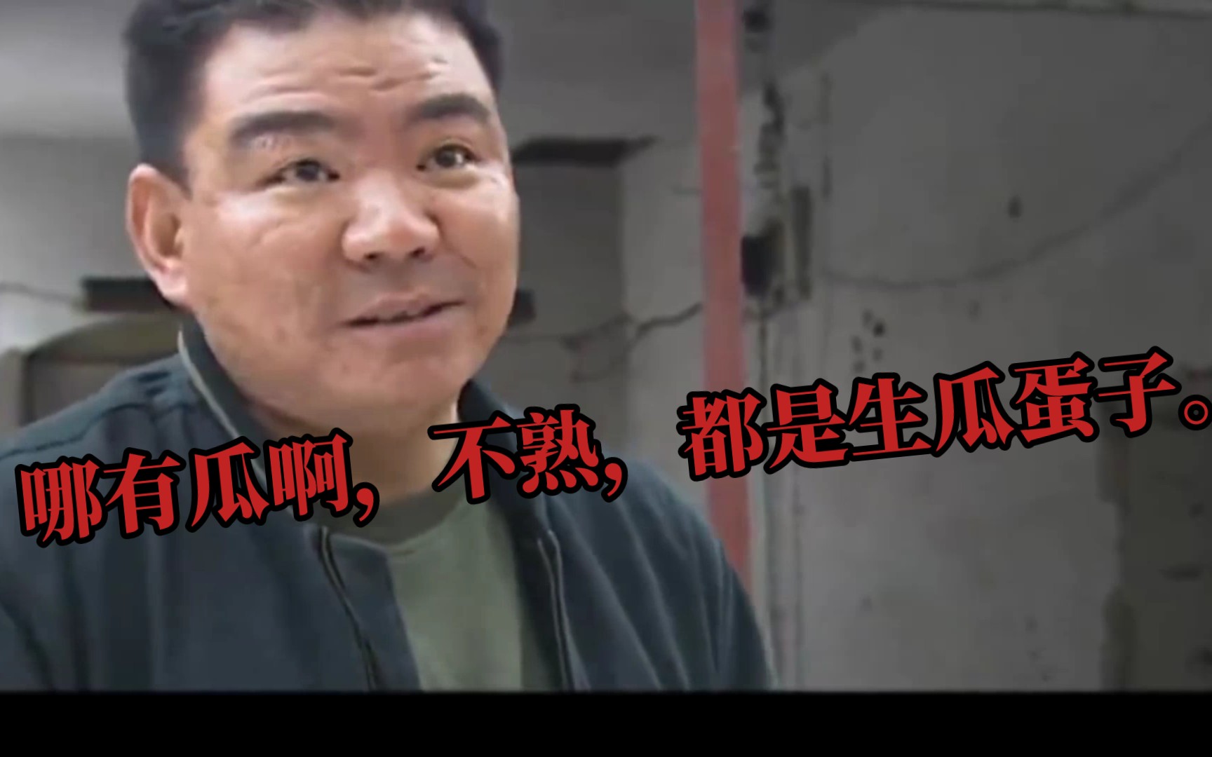 刘华强买瓜,鬼畜版.哪有瓜啊,不熟,都是生瓜蛋子.