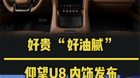 好贵，“好油腻”｜仰望U8内饰发布！-哔哩哔哩