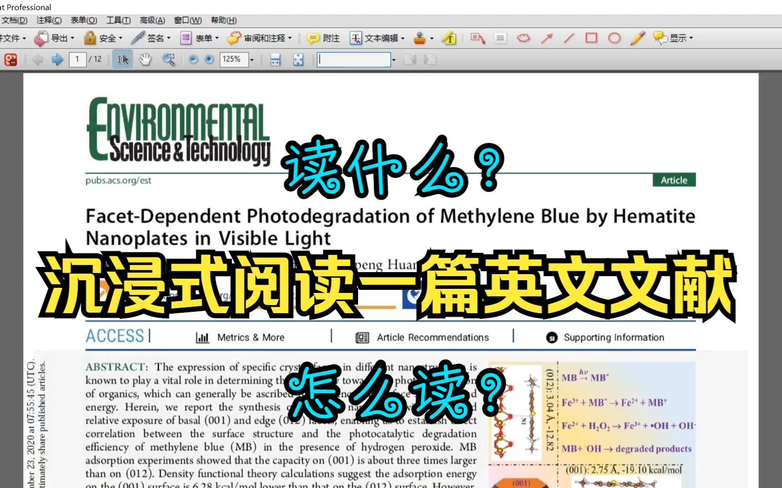 【研究生】沉浸式带你阅读一篇英文文献|读什么?怎么读?哔哩哔哩bilibili