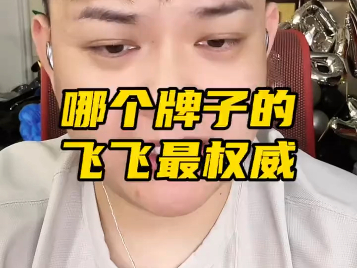 哪个牌子的飞飞最权威?哔哩哔哩bilibili