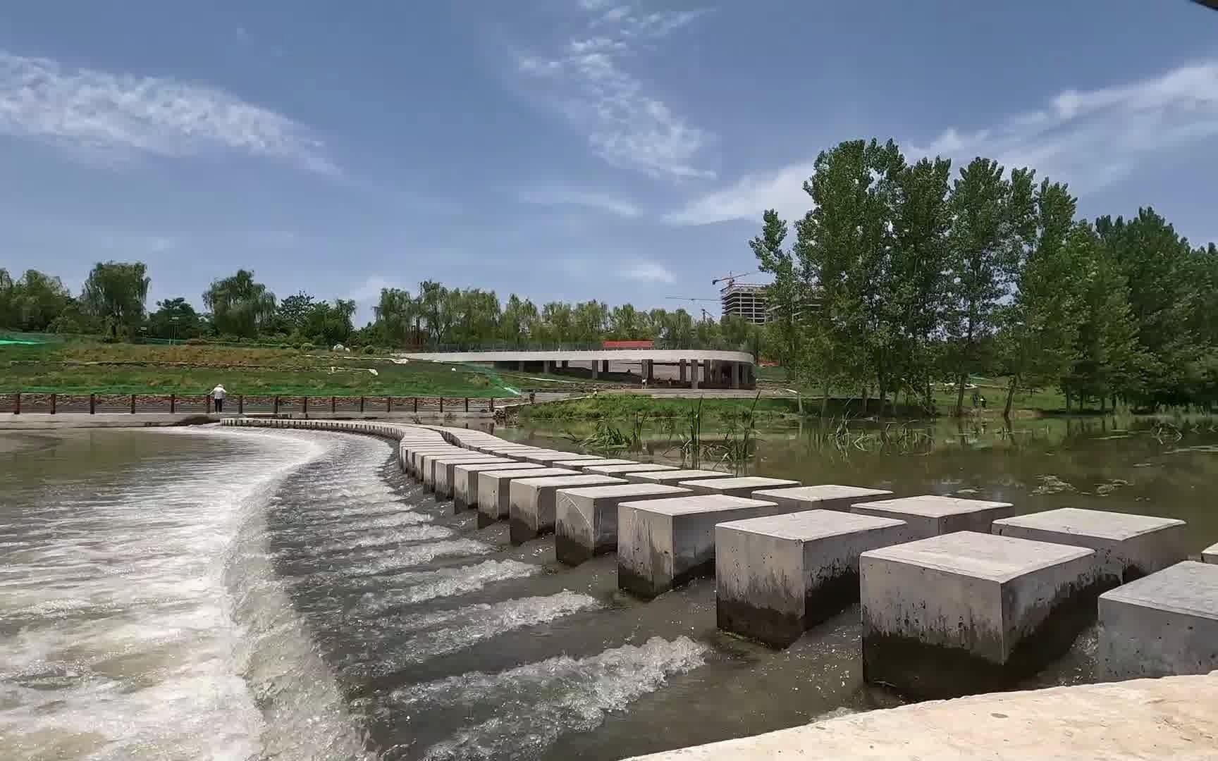 洨河生态公园随拍