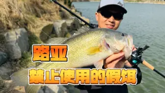 难怪它会是国内比赛禁止使用的路亚饵