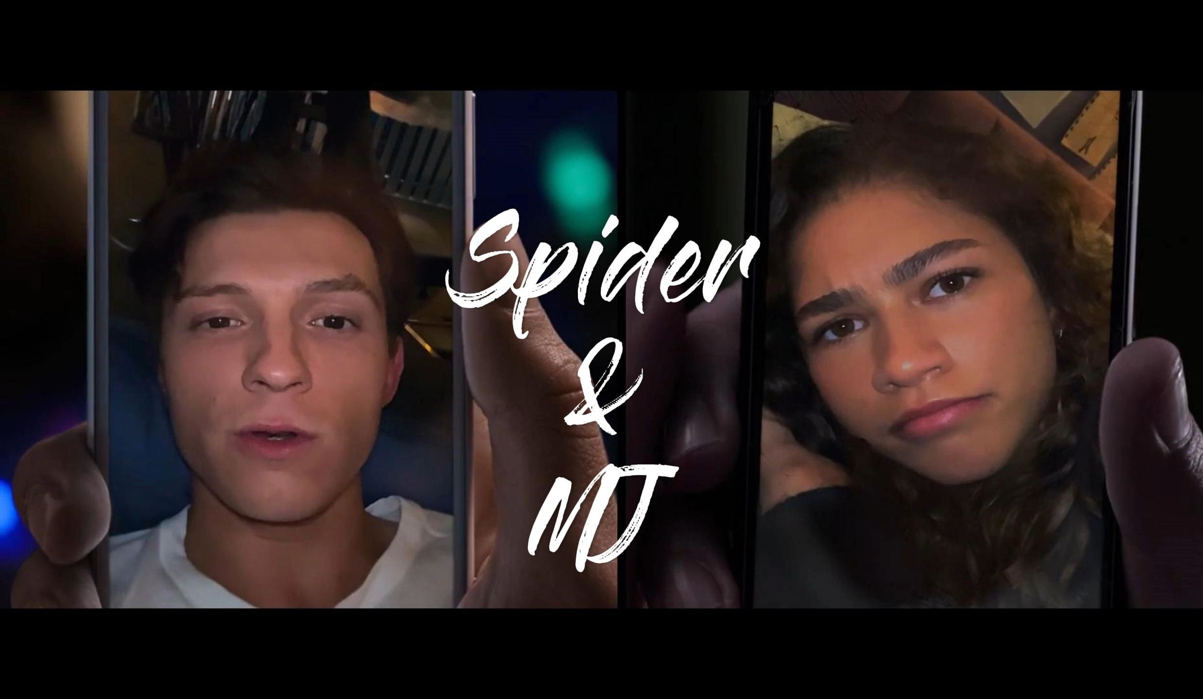 【cp向混剪】甜爆屏幕!荷兰弟和赞达亚的神仙颜值