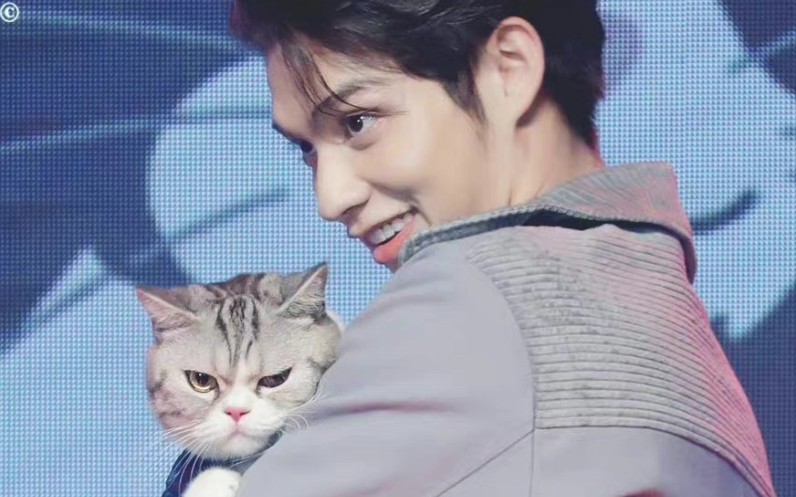 泰国娱乐圈猫奴男明星第三部分nunew林景云和bright道明寺布莱特