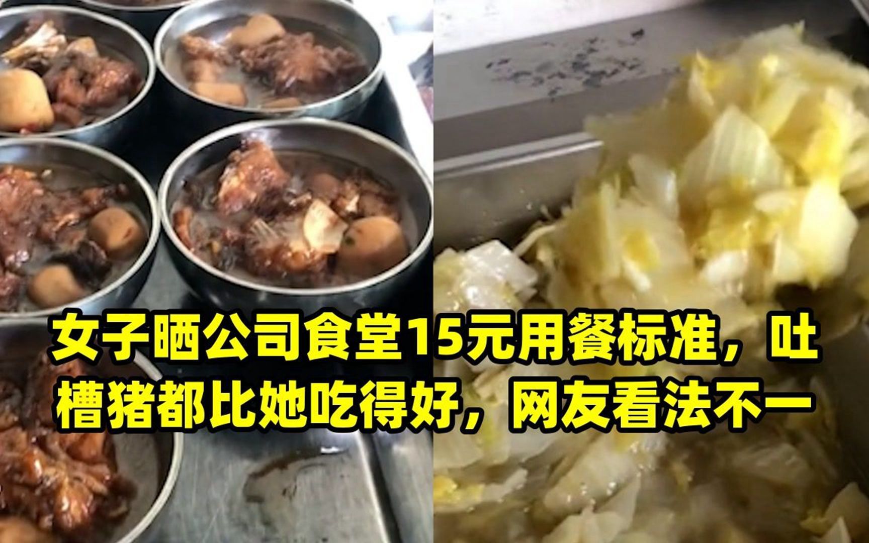 女子晒公司食堂15元用餐标准,吐槽猪都比她吃得好,网友看法不一哔哩哔哩bilibili