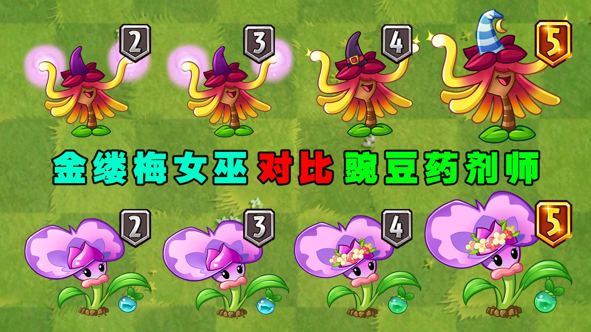 金缕梅女巫与豌豆药剂师1至5阶对比,谁才是变形高手?