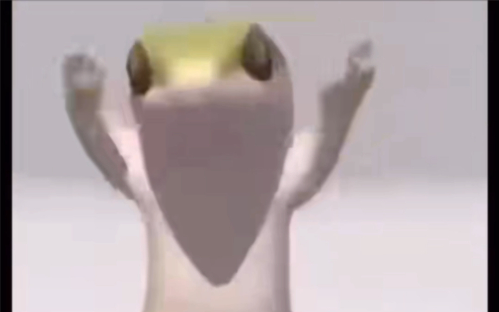 蜥蜴跳舞原视频