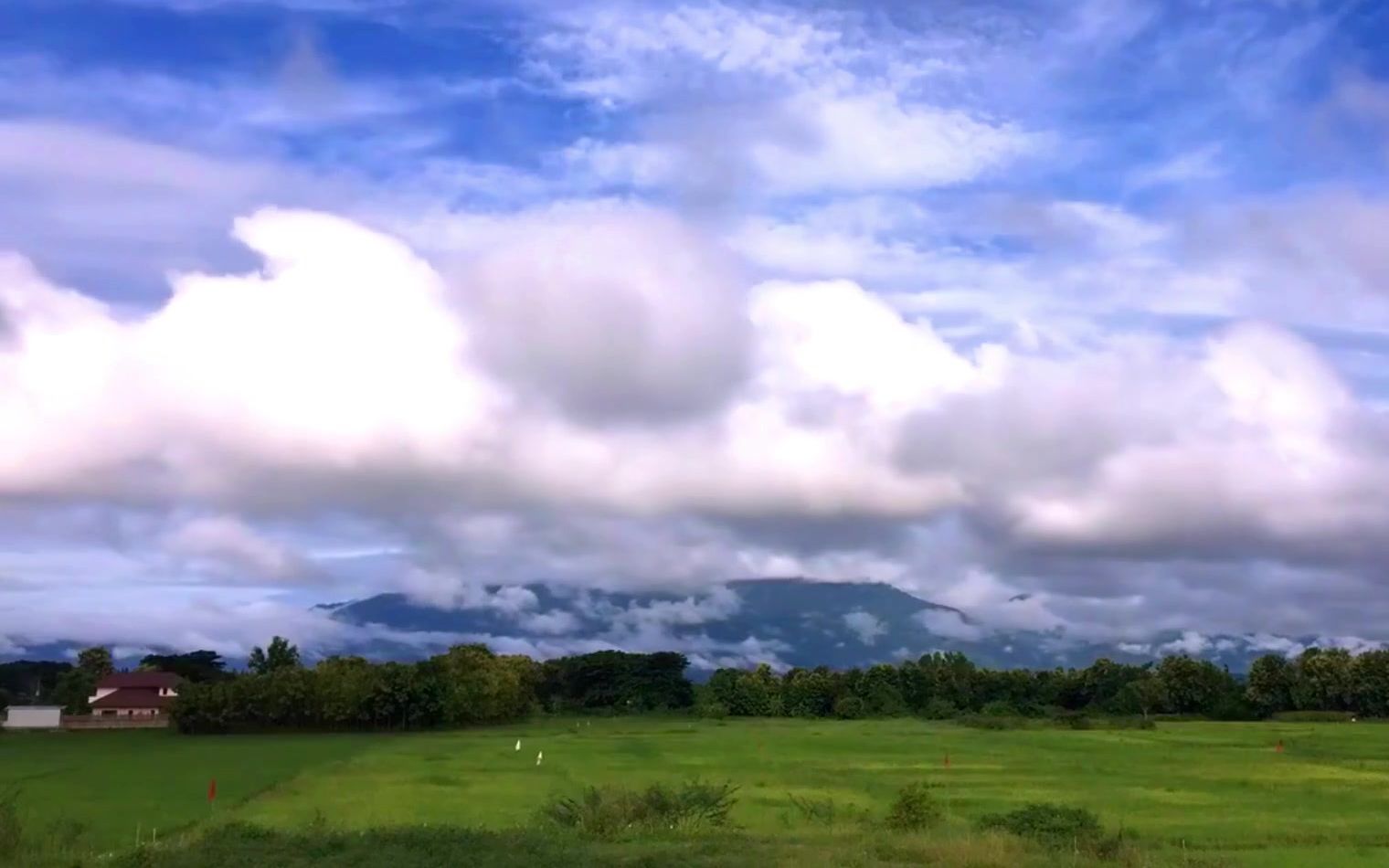 看会风景哔哩哔哩bilibili