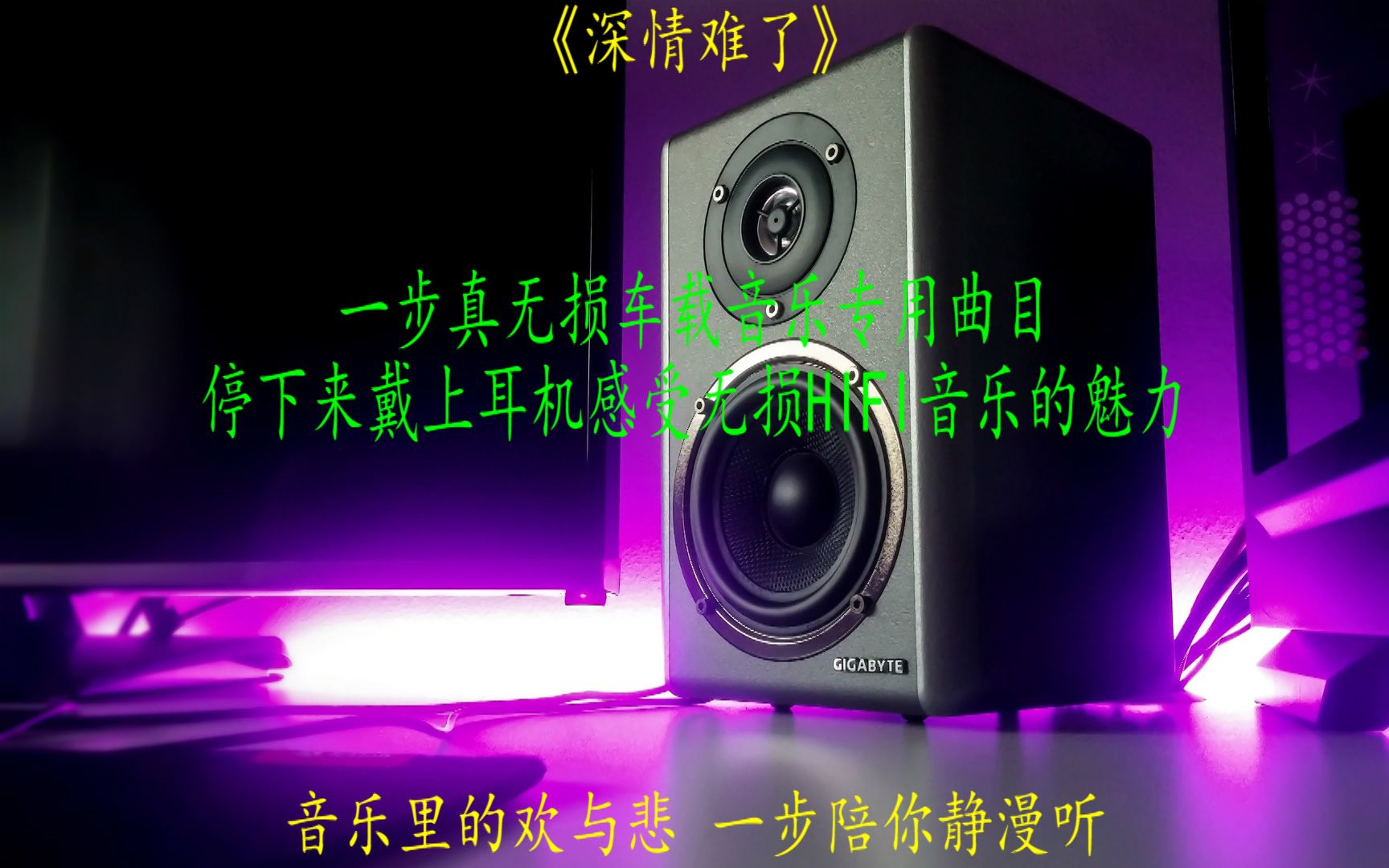 [图]一步真无损车载音乐U盘曲目《深情难了》