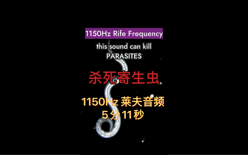 10' 01“ 1150Hz 莱夫音频.祝您健康!哔哩哔哩bilibili