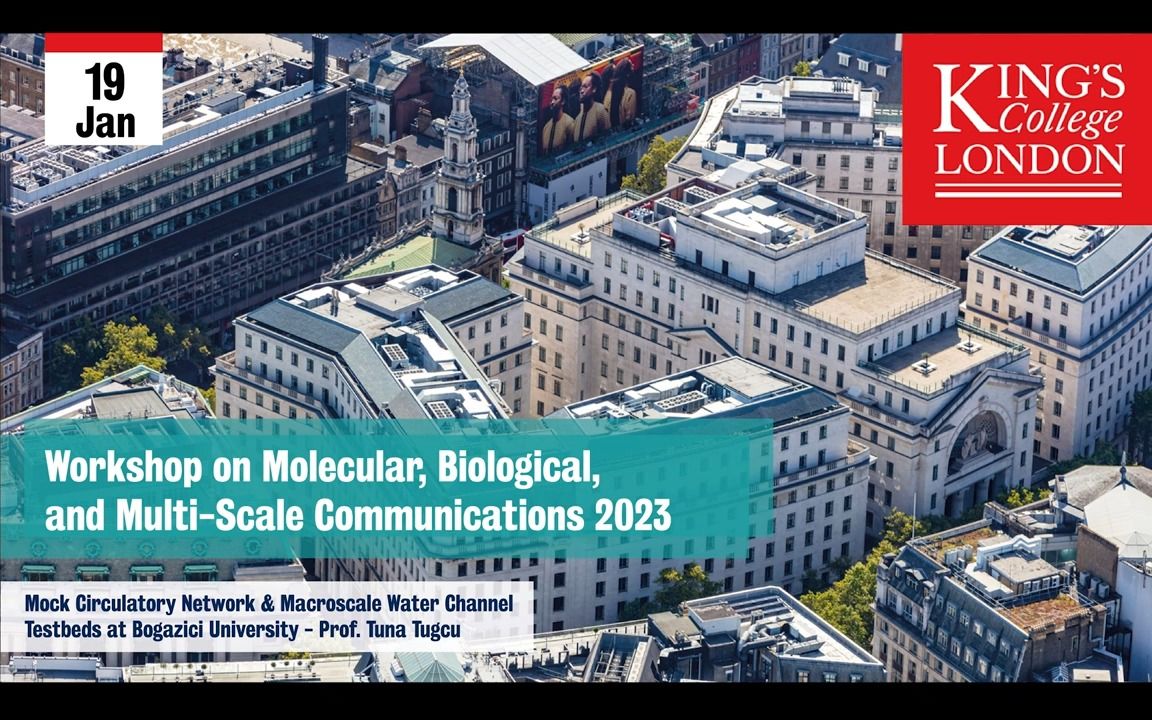 mock circulatory network & macroscale water channel testbeds