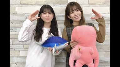 石見舞菜香のらじおてくてく maxresdefault.jpg?sqp=-