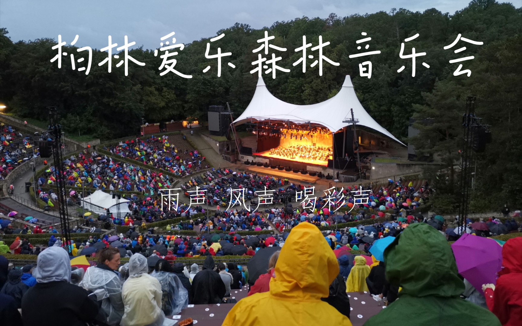 柏林爱乐森林雨中音乐会 自然声环绕_哔哩哔哩_bilibili
