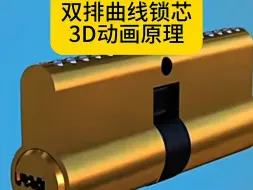 Download Video: 双排曲线锁芯3D原理讲解