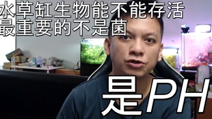 水草能使水变酸吗 今天跟大家探讨一下养鱼中ph值的问题 哔哩哔哩 つロ干杯 Bilibili