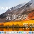 VMware虚拟机黑苹果完美安装教程qwq