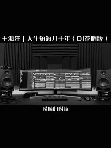 [图]王海洋｜人生短短几十年（DJ花哨版）