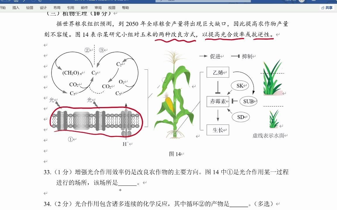 2020杨浦区二模综合题三哔哩哔哩bilibili