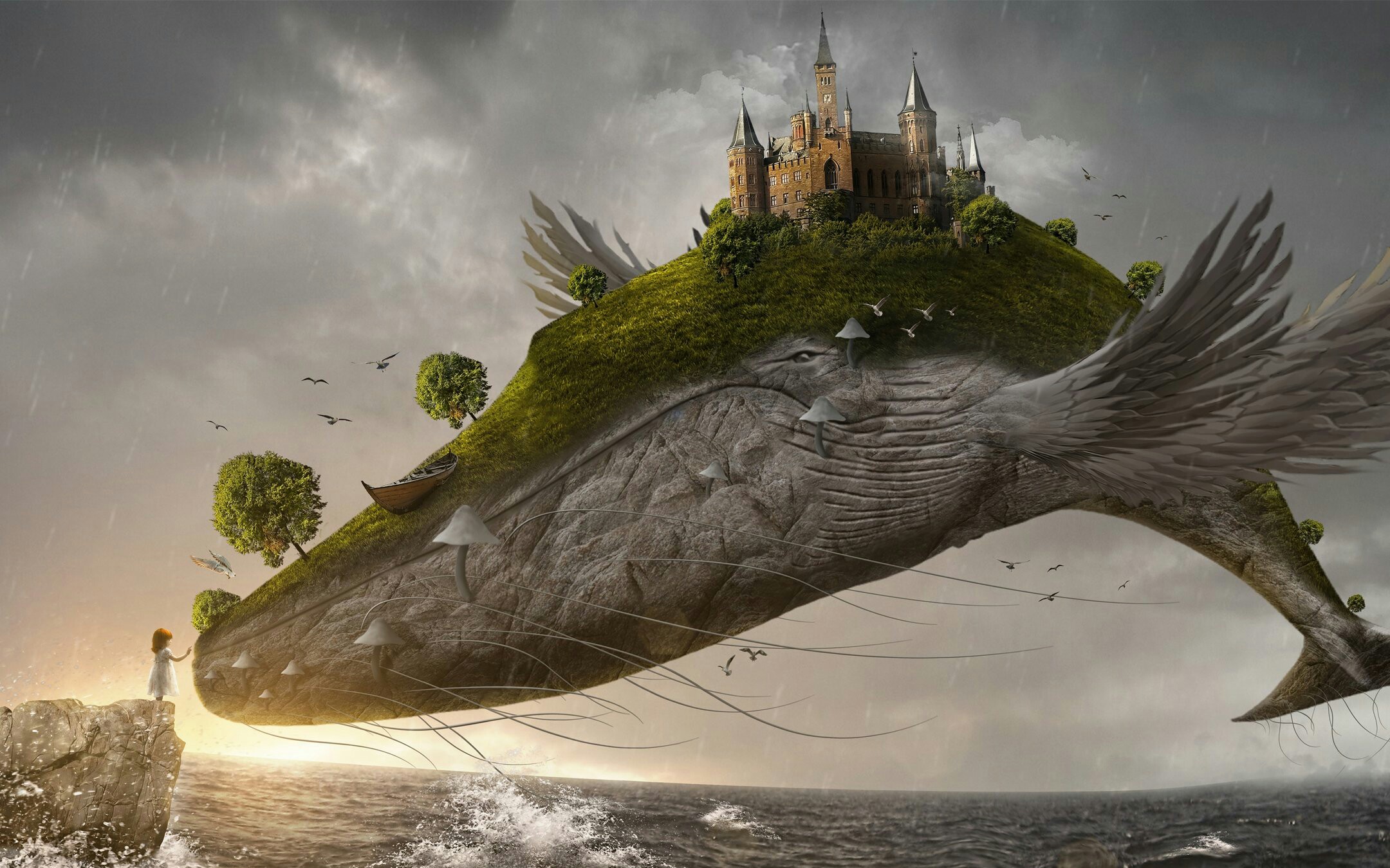 【小象】化身孤岛的鲸