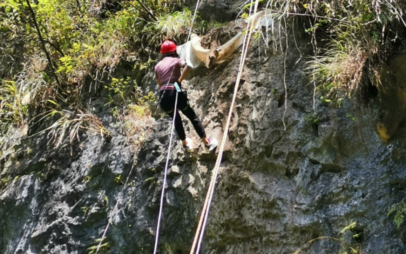 [图]桐庐纪龙山速降，探索卧龙洞，豹子岩下降，充实的一趟