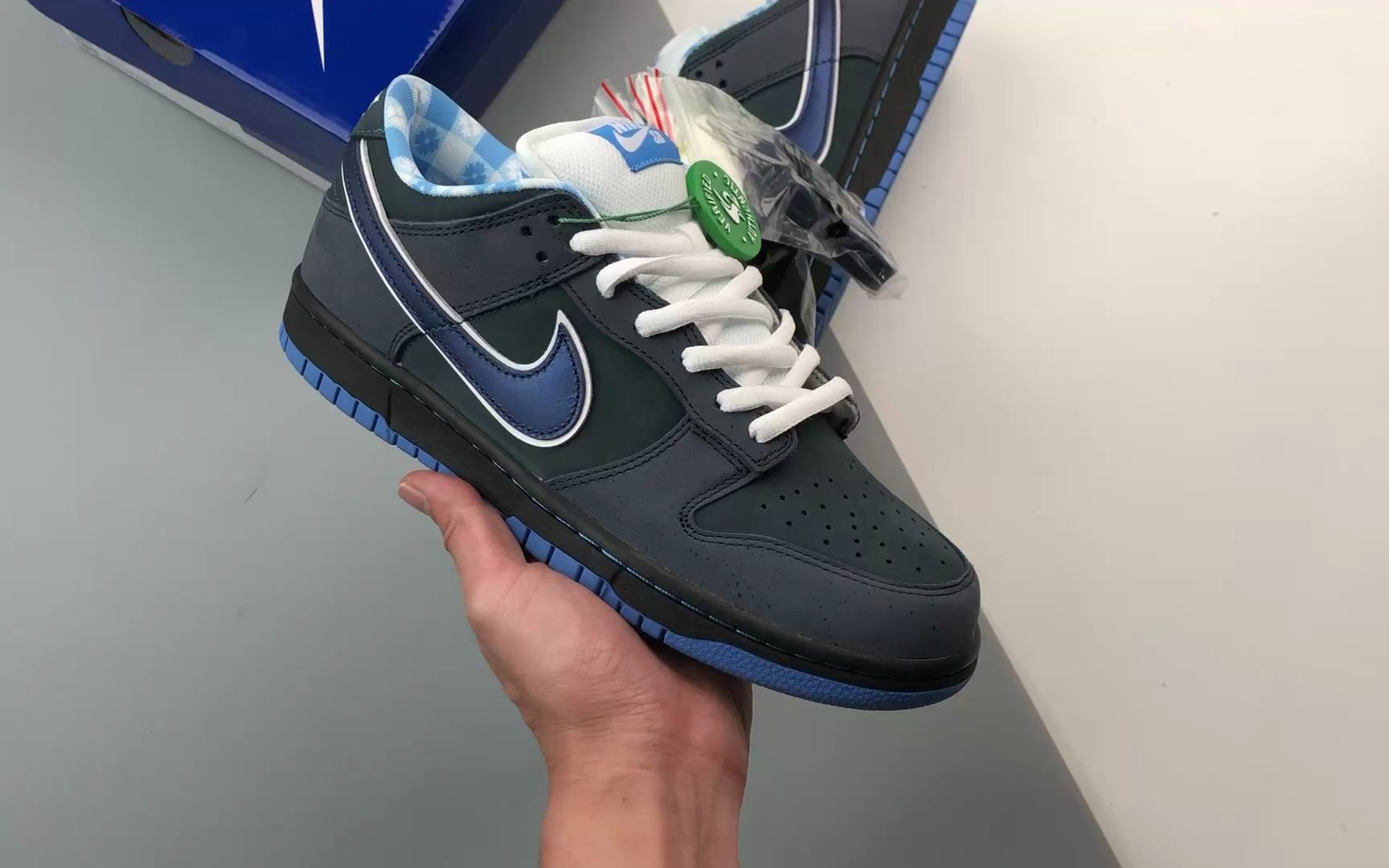 concepts x nk sb dunk low 蓝龙虾联名配色 s2纯原生产线出品