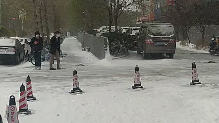 [图]雪落香杉树