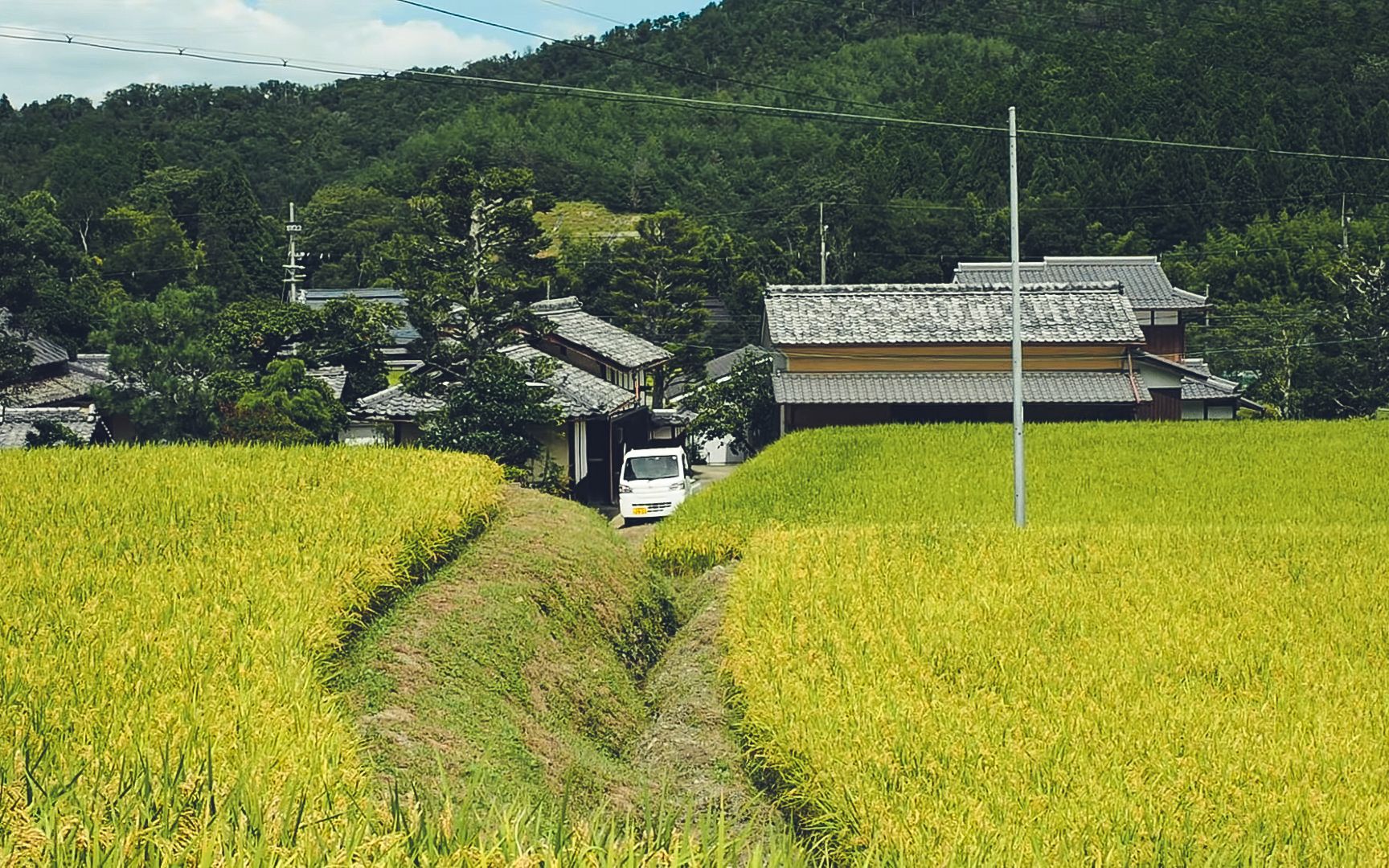 [图]【4K合集搬运】【田舎系列】2022.9月【京都府亀岡市+奈良県五條市】