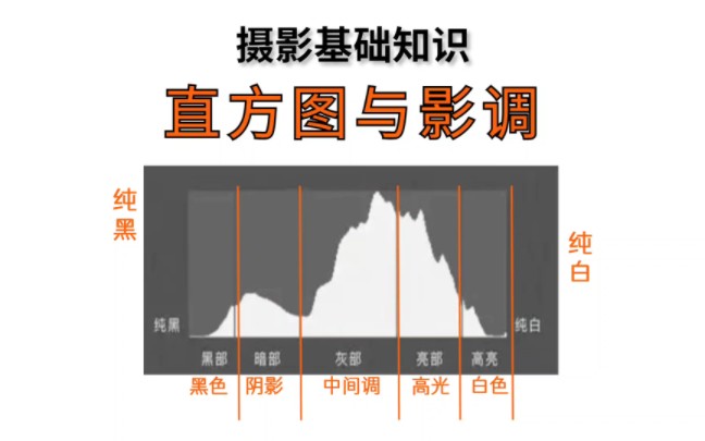 一分钟教会你看,相机直方图哔哩哔哩bilibili