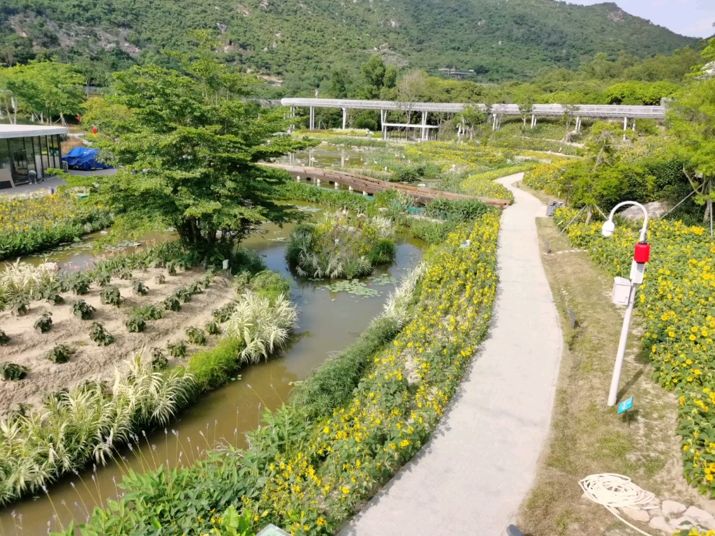 金湾区三灶镇木头冲村-鹤道_哔哩哔哩_bilibili