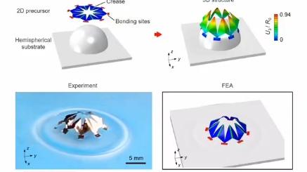 清华大学航院张一慧教授团队Science子刊在曲面上进行复杂的三维结构和电子器件的组装哔哩哔哩bilibili