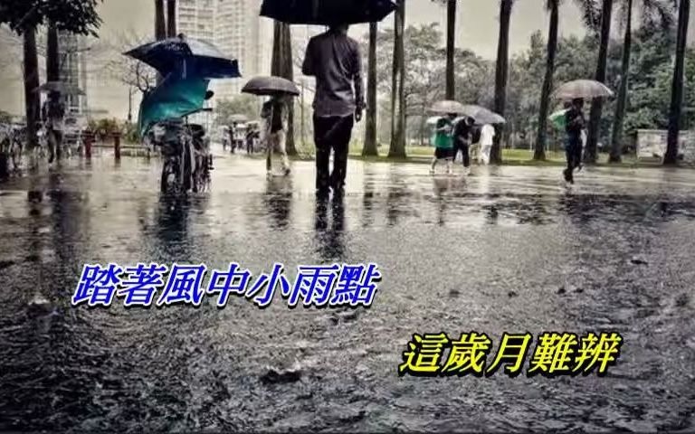 [图]雨點 林子祥〈歌手演唱版〉